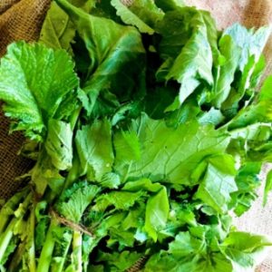 Fresh mustard greens