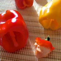 Capsicum being prepared for stuffing by cutting and deseeding while retaining the cut tops