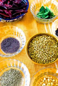 Ingredients for Rasam Powder set out in separate bowls. Coriander seeds, dry red chili, mustard seeds, curry leaves, cumin, asafoetida, Pigeon pea lentils, black pepper split bengal gram dal