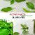 Homemade Basil Oil_PepperOnPizza.com