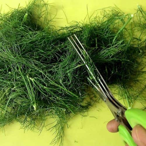 Fennel Frond Pesto in Basil Oil Recipe Pepper On Pizza