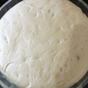 Pizza dough_pizza dough after it rises