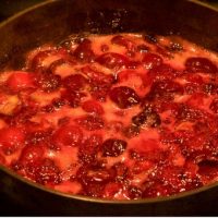 Easy Homemade Cherry Compote of fresh dark red cherries with cinnamon and vanilla extract