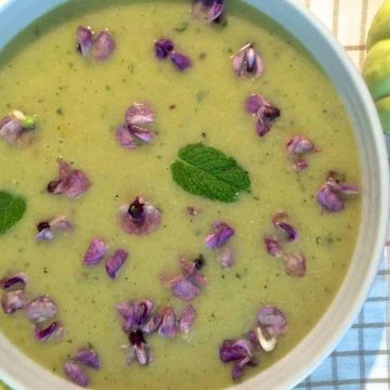Green Patty Pan Squash Mint Soup with Orange and Hyacinth and Green Capsicum plus a dash of cumin and pepper to spice it up. Delicious, refreshing, easy.