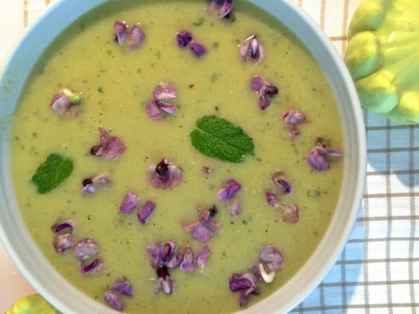 Patty Pan Squash Mint Soup_Featured Green Patty Pan Squash Mint Soup with Orange and Hyacinth and Green Capsicum plus a dash of cumin and pepper to spice it up. Delicious, refreshing, easy.