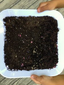 Mulaipari (soaking grains) getting ready for Navaratri Golu