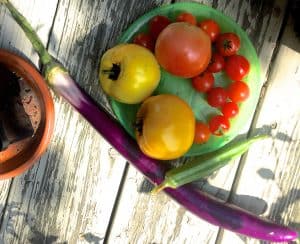 Tomatoes from the garden