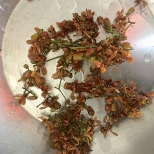 4. Crisp fried fresh neem flowers