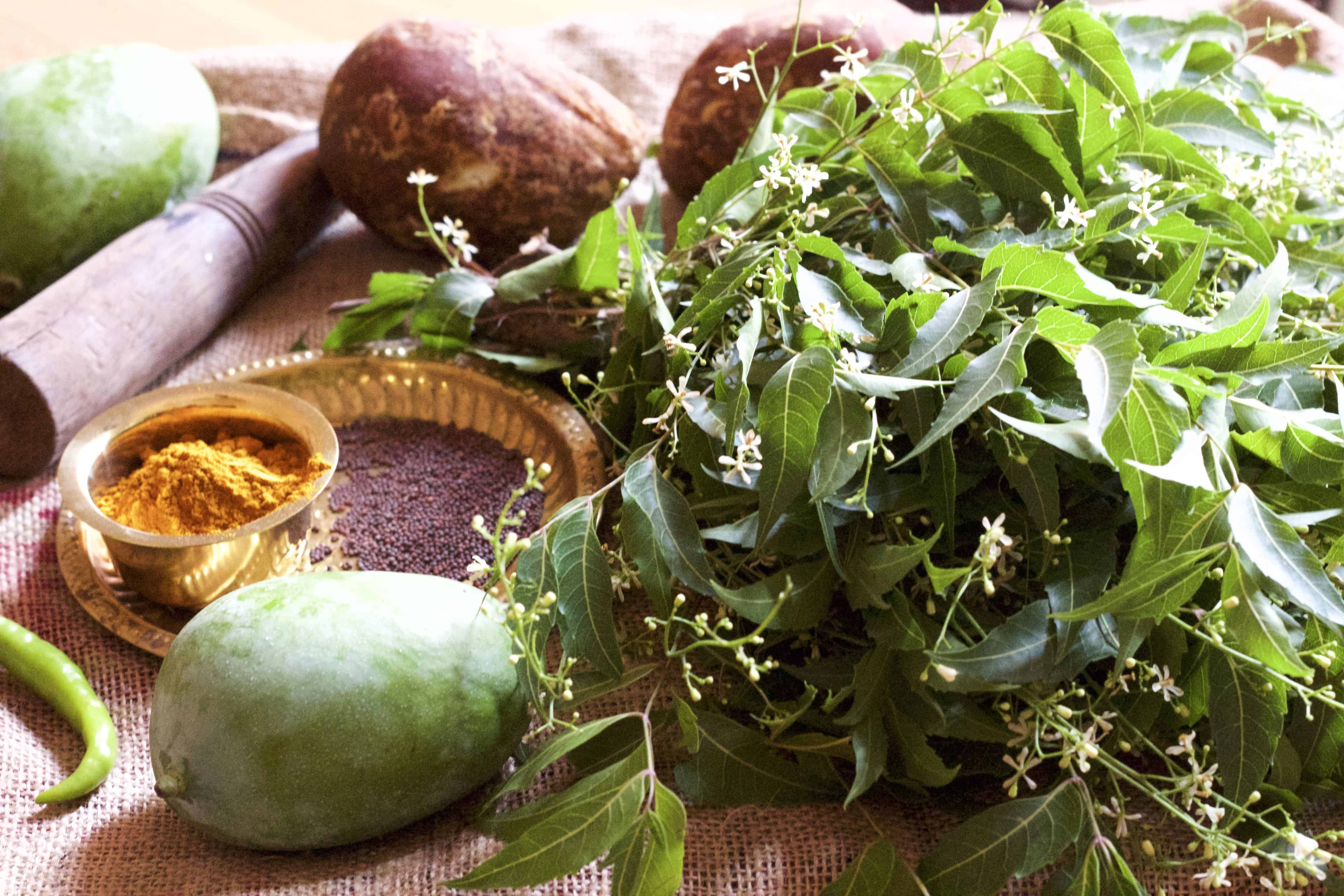 Mango pachadi ingredients -turmeric mustard seeds, mango, jaggery lump, chilli and neem leaves with flowers