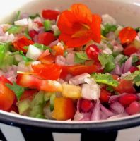 Rainbow salad with red nasturtium, chopped sweet peppers, tomato and other vegetables and greens in a yellow white and black striped bowl