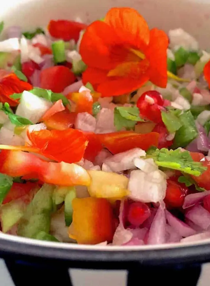 Rainbow salad with red nasturtium, chopped sweet peppers, tomato and other vegetables and greens in a yellow white and black striped bowl