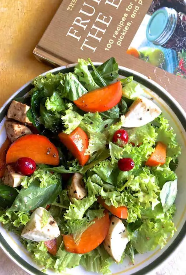 Large plate of slices of orange persimmon tossed with greens, white fresh mozzarella and cranberries