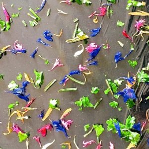 Edible flowers and herbs on cling wrap