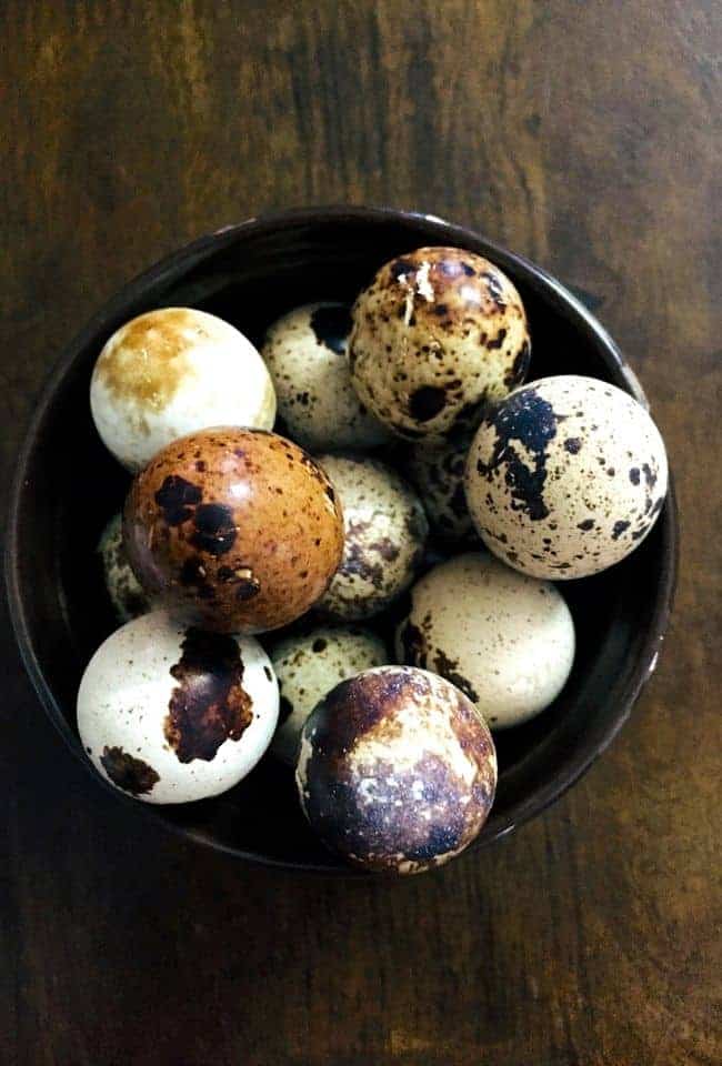 A bowl of tiny speckled quail eggs, on a wooden background. Some eggs have black or brown specks on white, some are brown with black specs