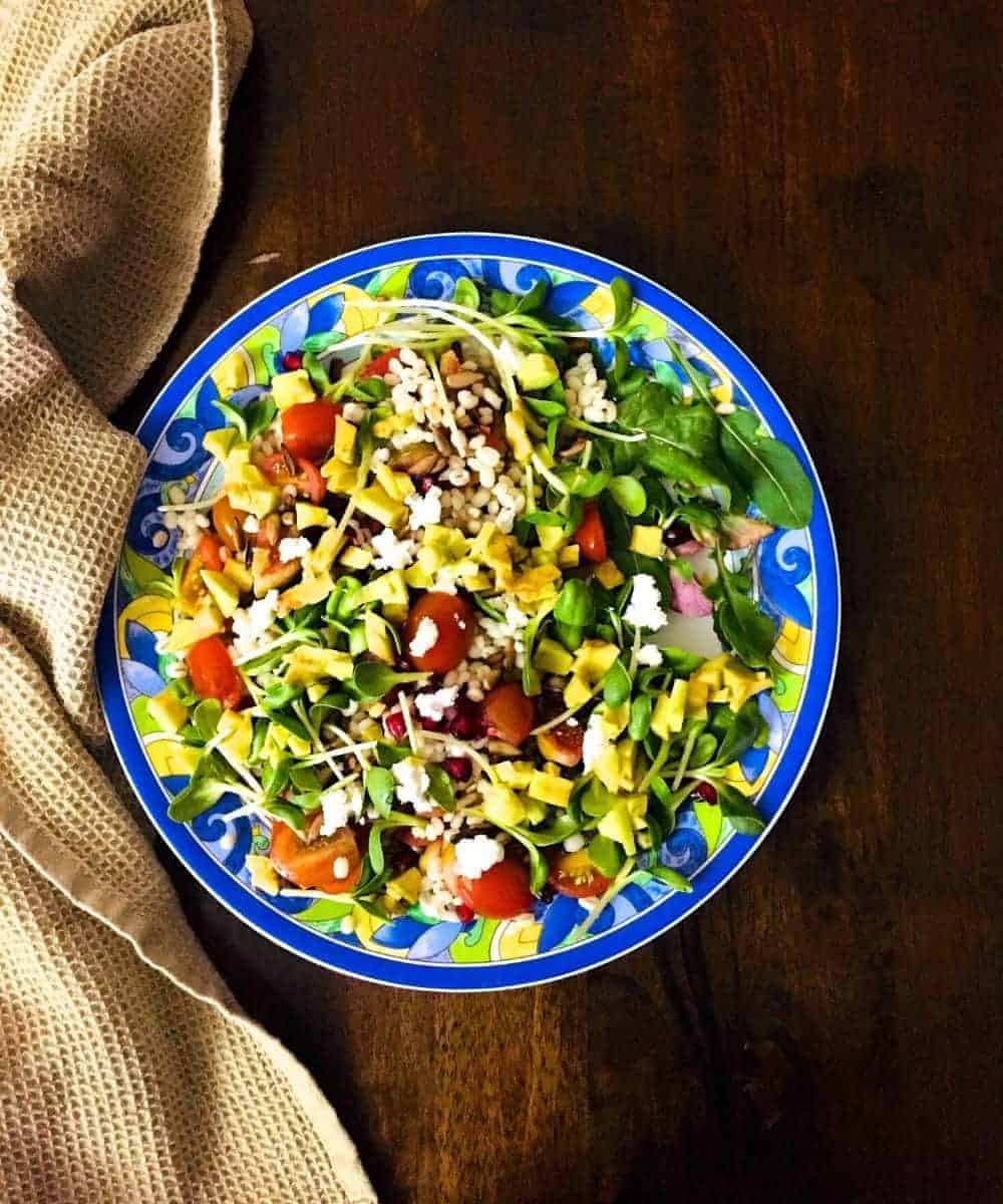 Bright green red and yellow Pearl barley tomato avocado salad with microgreens, on a plate edged with large blue and yellow scrolled design.