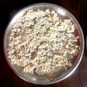 Process 3: Cooked Barley spread on a plate so it doesn't stick