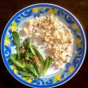 Process 5: Putting the Barley salad together: Greens and layer of barley and sunflower seeds on a plate