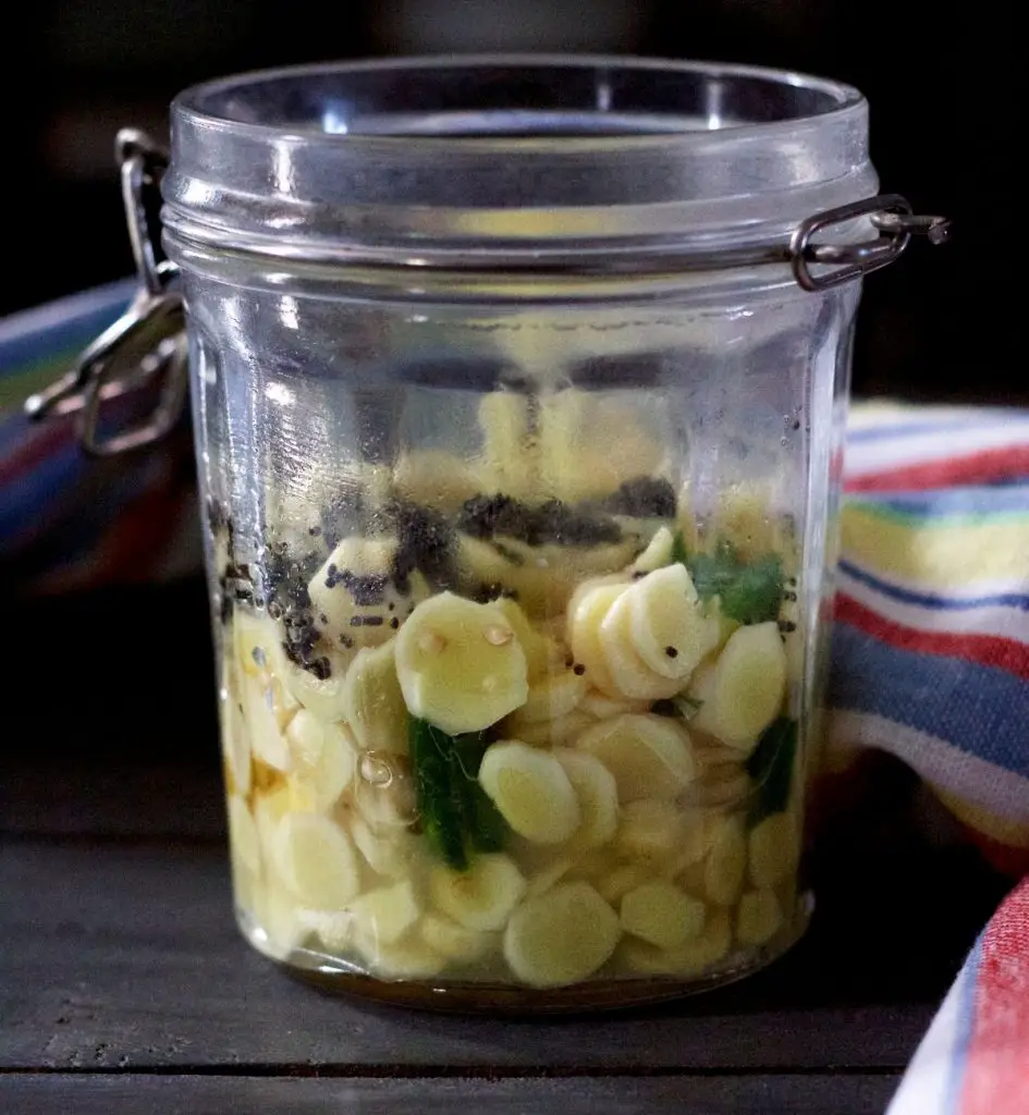 Pale yellow round slices of manga inji pickle, with bits of green chili, black mustard seeds. In a tall glass jar, with a striped blue, white, red, yellow, green napkin behind and to the right. On a grey wooden background