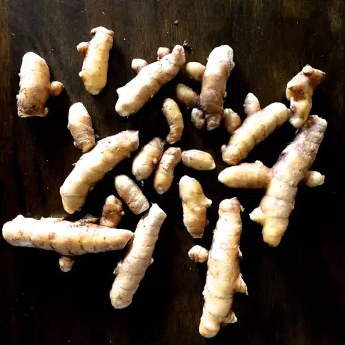 Several pieces of brown-beige coloured unpeeled raw mango ginger on a dark brown background